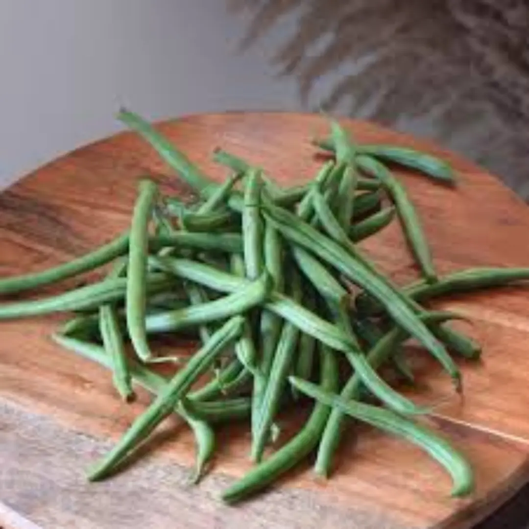 Broad  beans