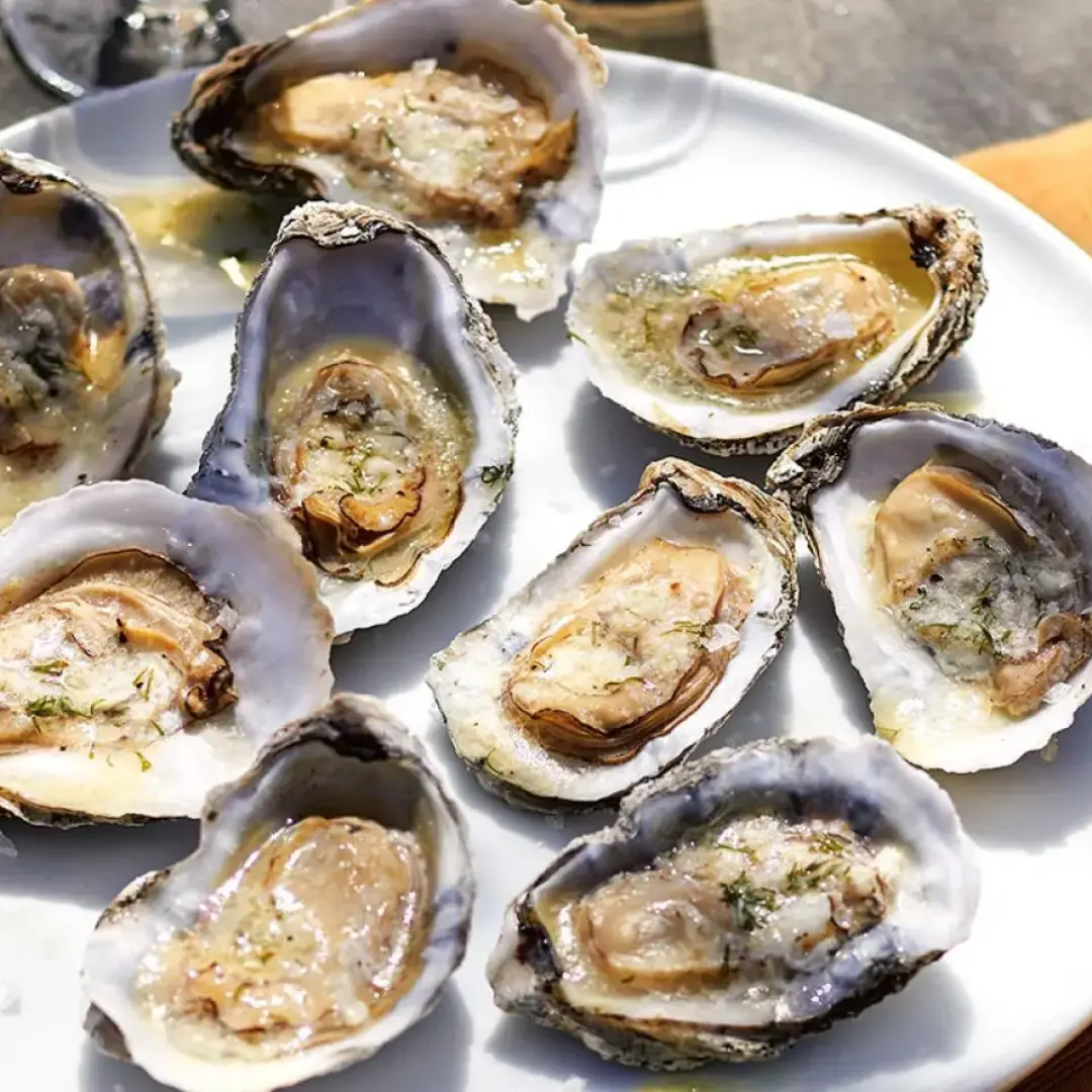 Oysters