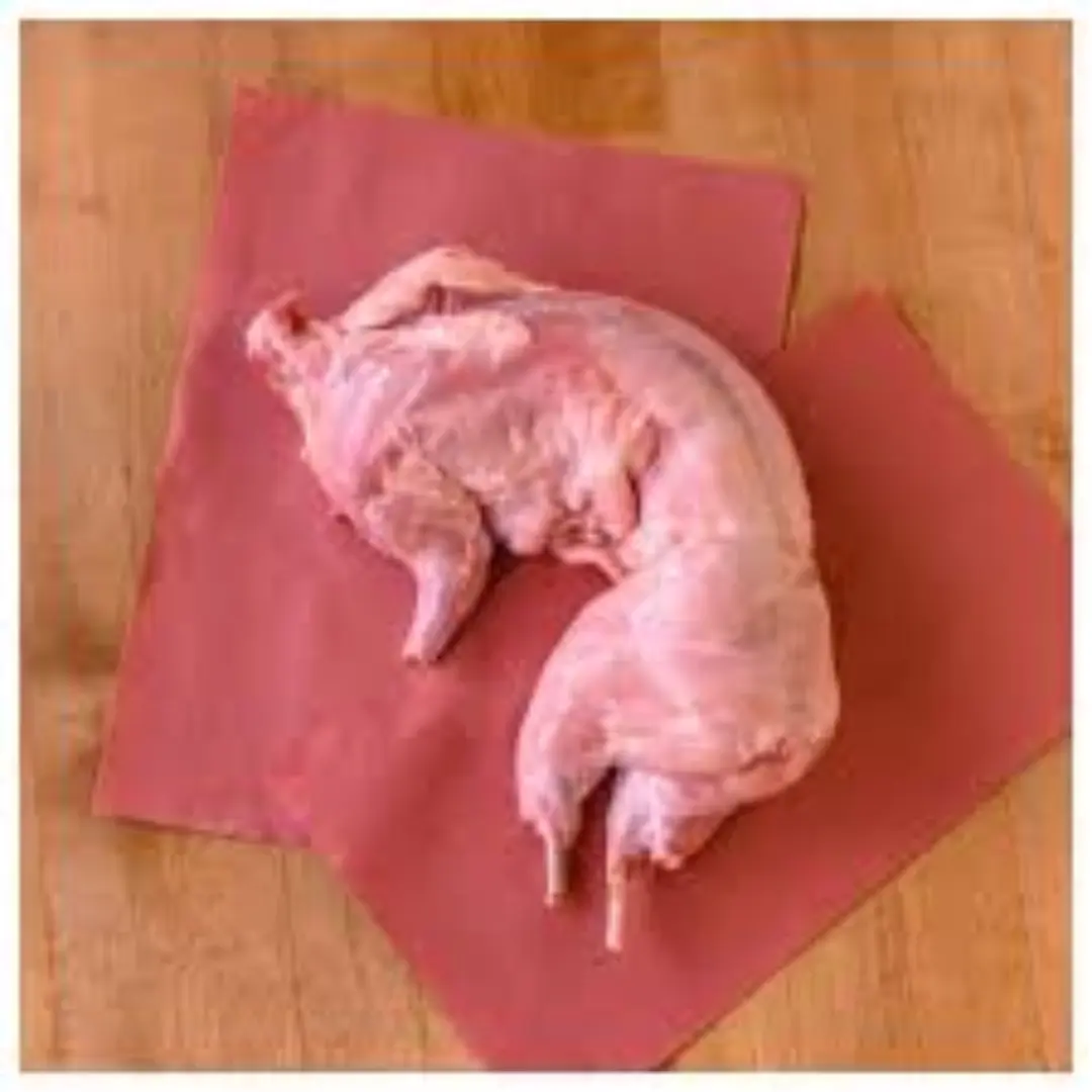 Rabibt Whole carcass